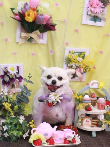 20230322ポロくん